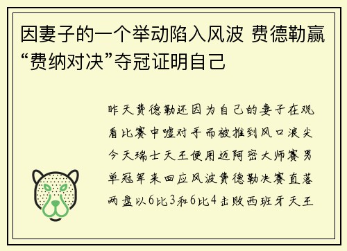 因妻子的一个举动陷入风波 费德勒赢“费纳对决”夺冠证明自己
